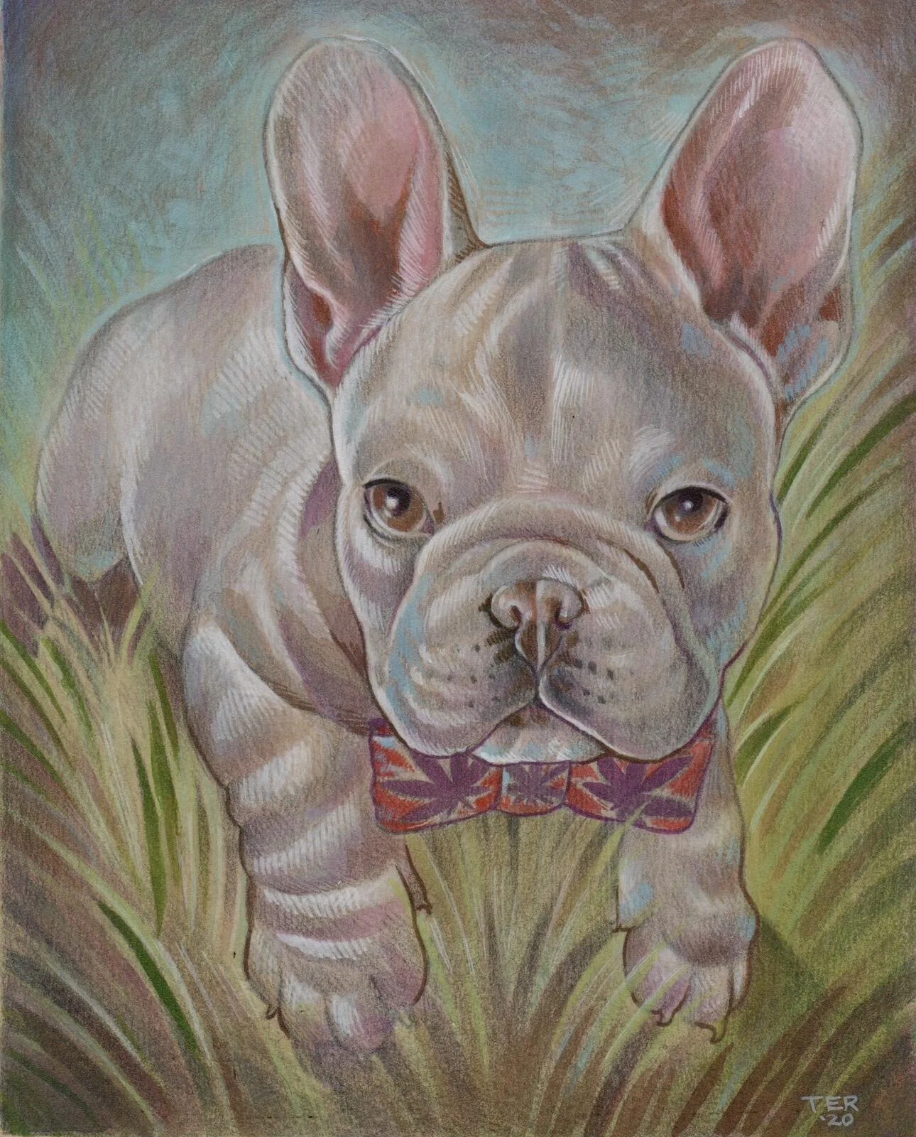 Custom pet portrait of a French bulldog puppy with a floral bow tie in grass, realistic colored pencil, by Terry Ribera San Diego