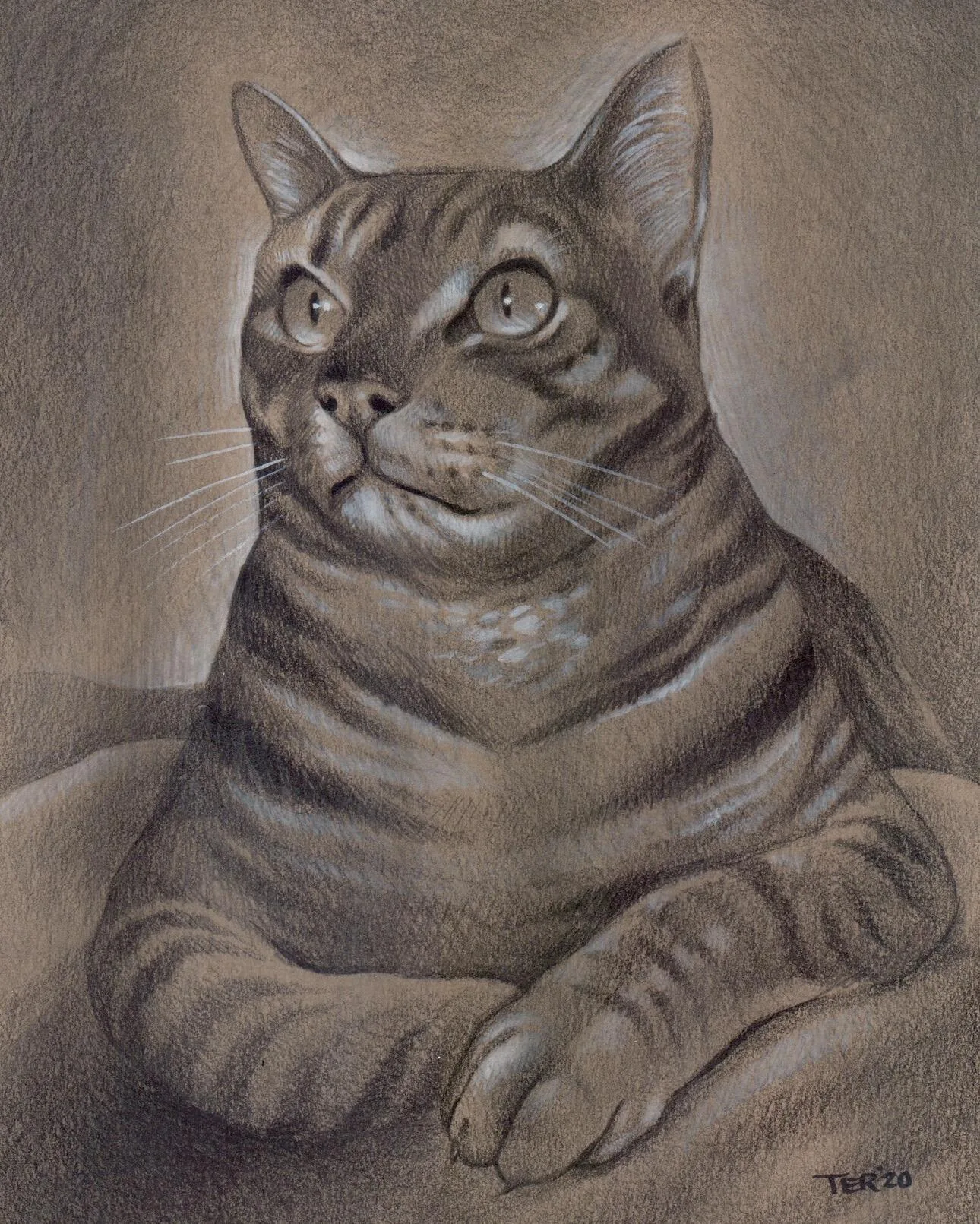 Realistic custom pet portrait of a tabby cat, chalk pastel on toned paper, by Terry Ribera San Diego