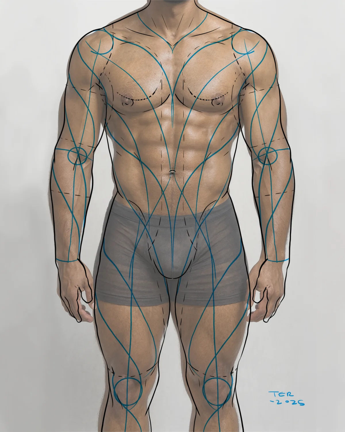 Rhythm-line body diagram over a torso by Terry Ribera — mapping tattoo flow to real anatomy
