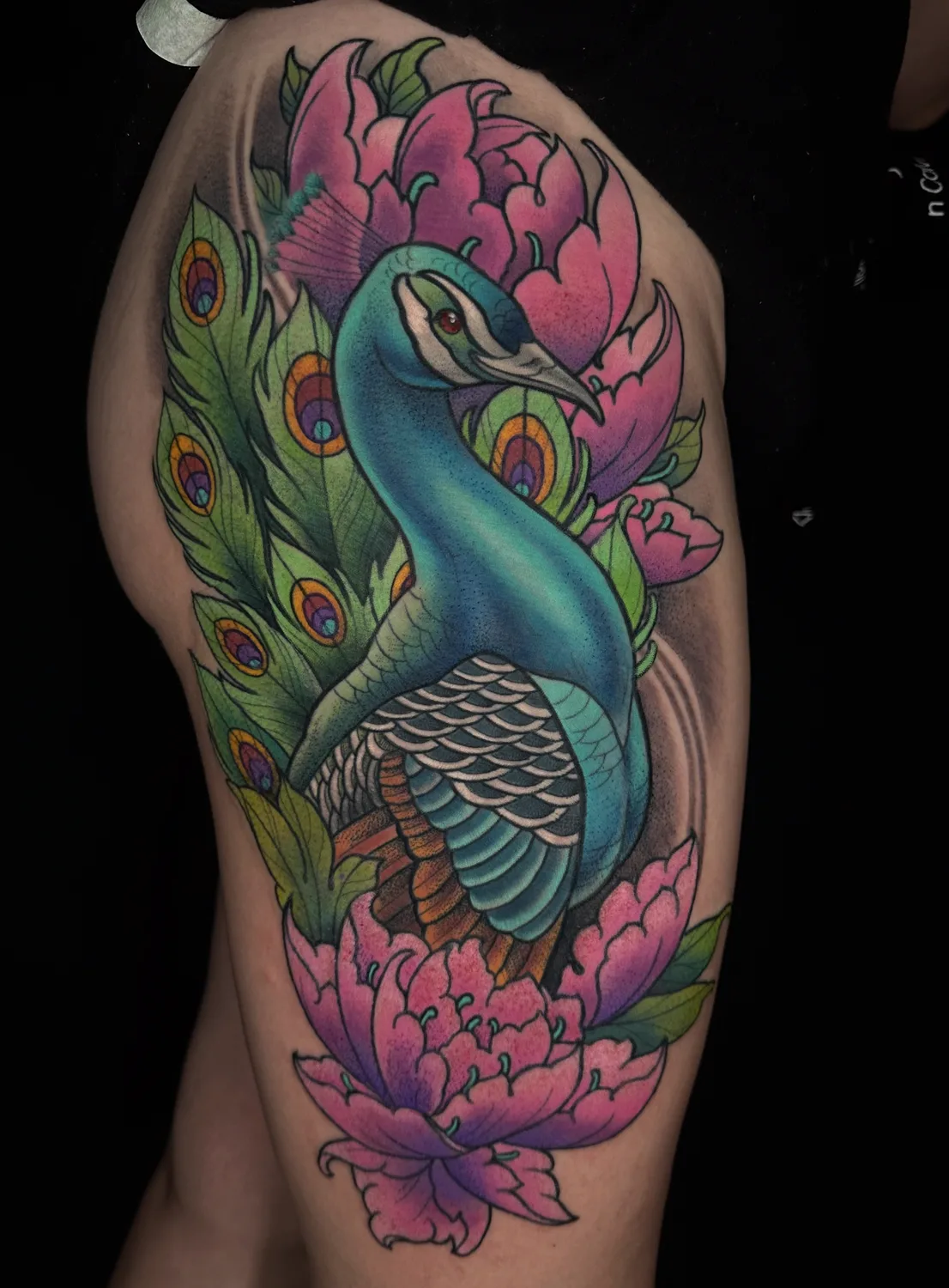 Illustrative peacock and peony color thigh by Terry Ribera, San Diego