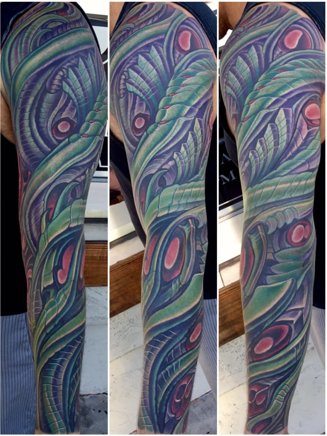 Illustrative peacock feather biomech color sleeve by Terry Ribera, San Diego