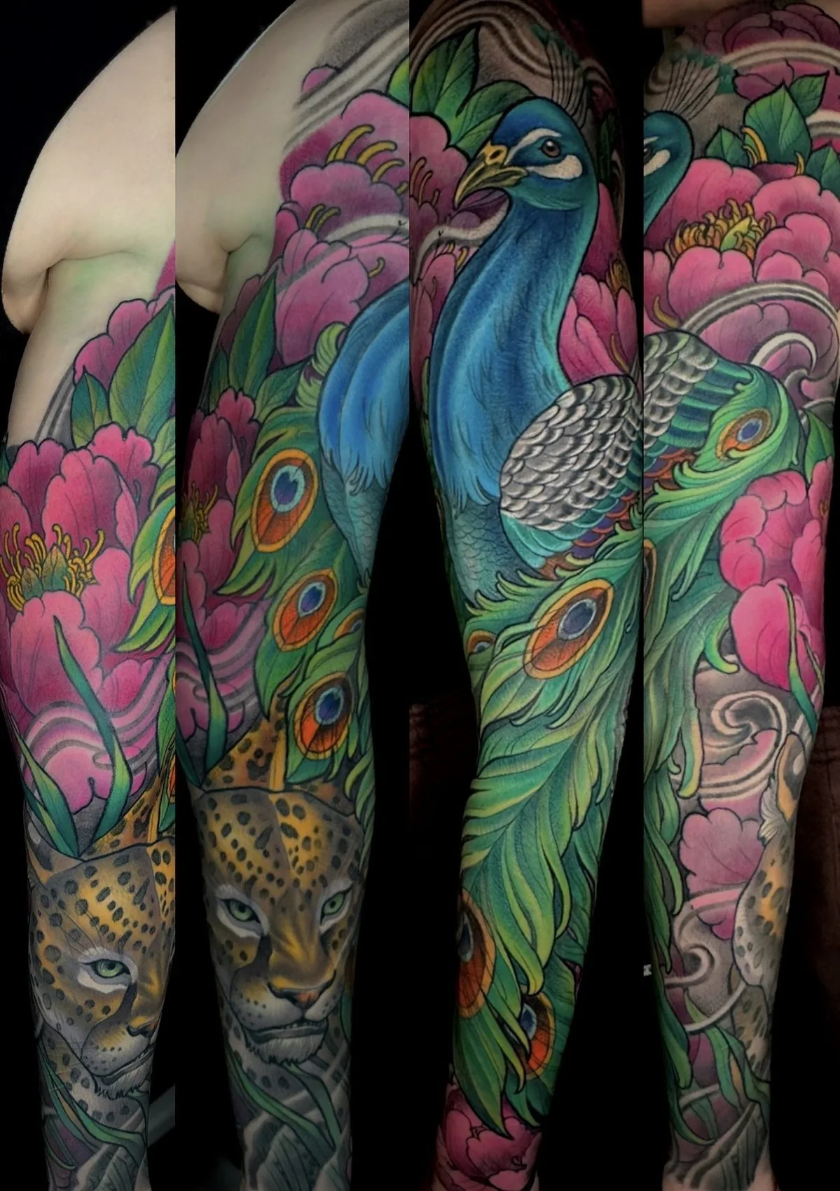 Neo traditional full color arm sleeve tattoo of a peacock and a leopard among pink peonies, shown from four angles by Terry Ribera at Remington Tattoo in San Diego.