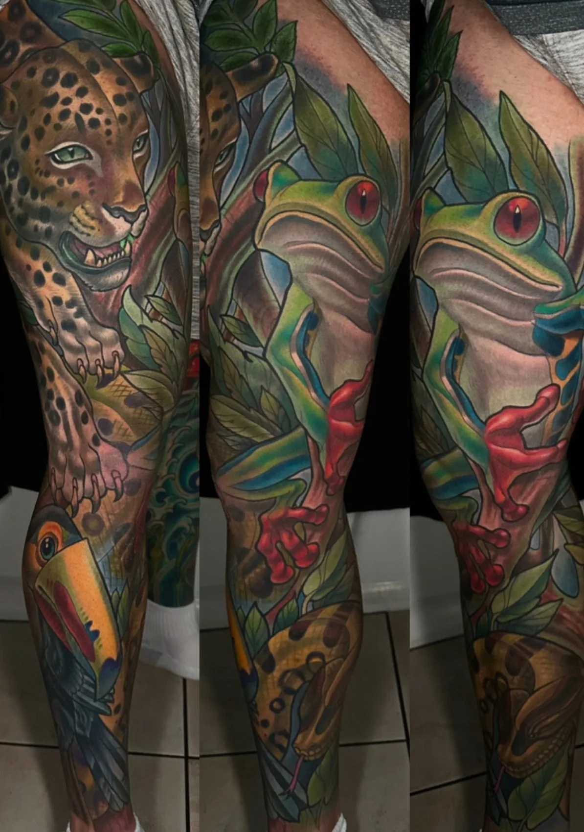 Illustrative wildlife bodysuit tattoo, rainforest leg sleeve with a jaguar, red-eyed tree frog, toucan and snake, shown from three angles by Terry Ribera at Remington Tattoo in San Diego.