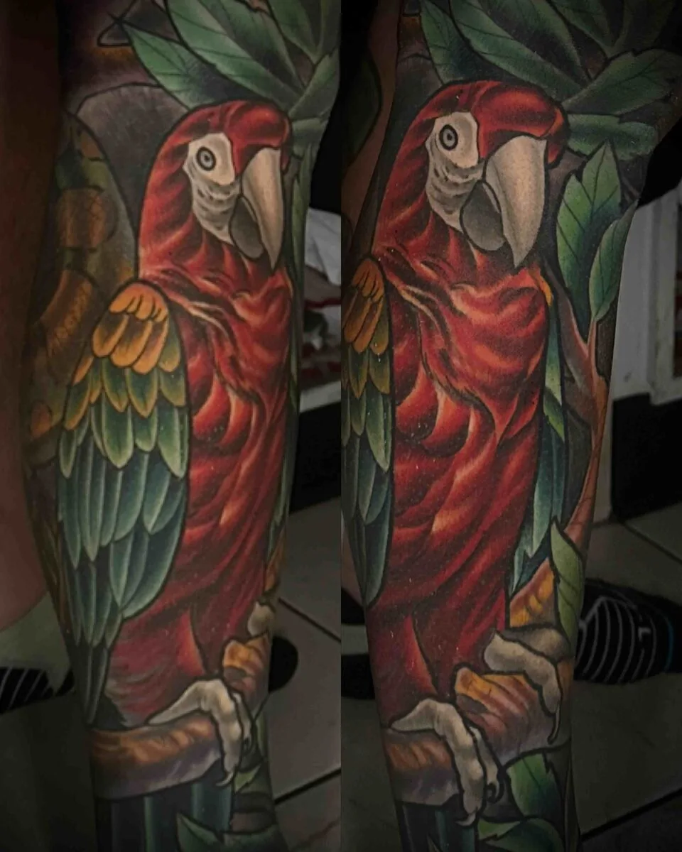 Neo Traditional scarlet macaw parrot tattoo by Terry Ribera, San Diego