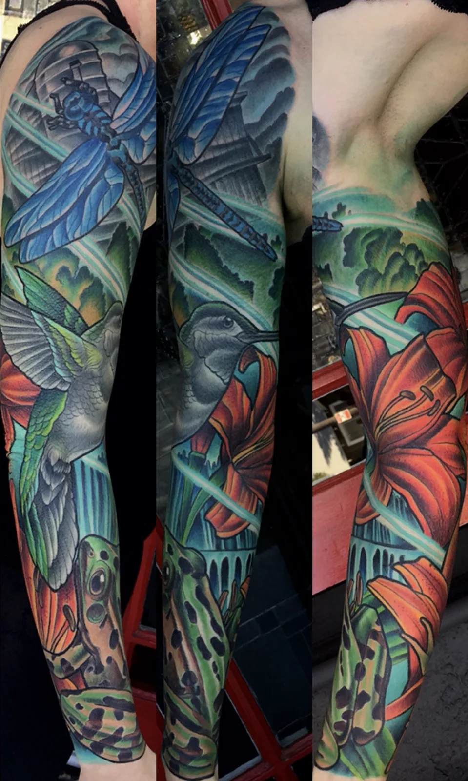 Color neo traditional hummingbird, dragonfly and frog sleeve by Terry Ribera, San Diego