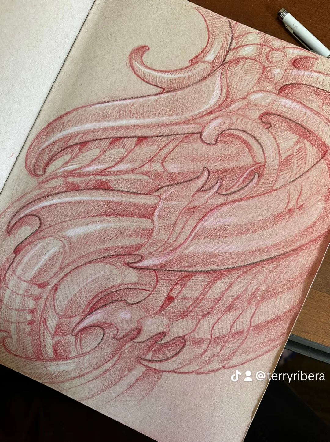 Bio-organic flowing forms red pencil sketch design by Terry Ribera, San Diego