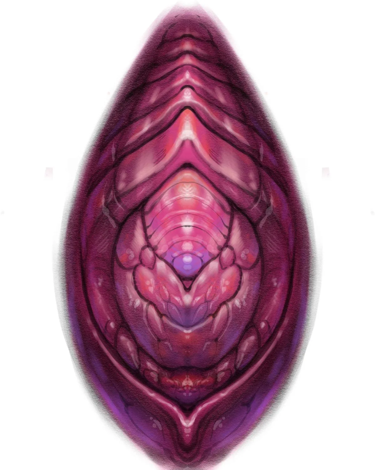 Bio-organic pink purple alien pod digital drawing by Terry Ribera