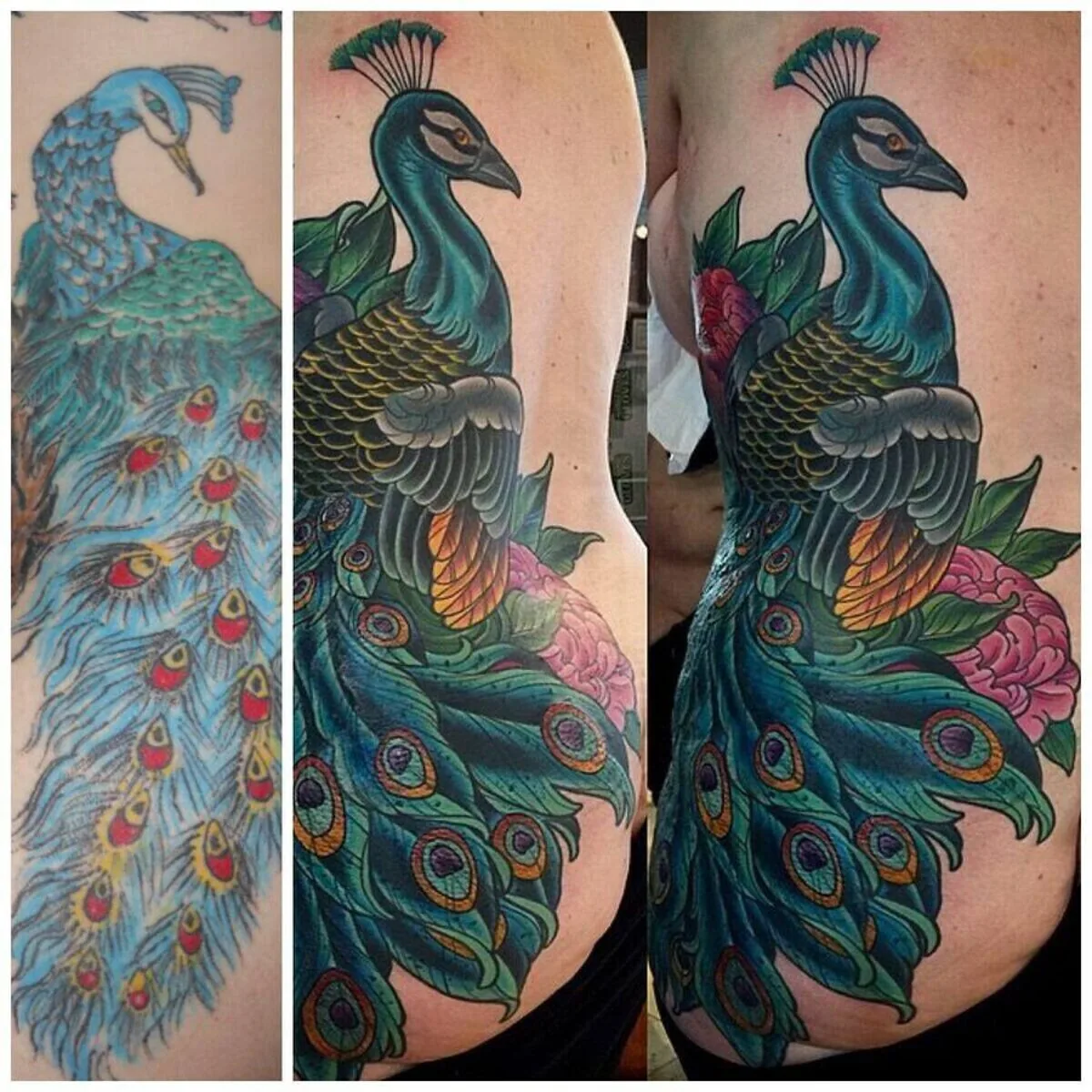 Cover-up: old peacock transformed to Neo Traditional peacock rib, before and after — Terry Ribera, San Diego