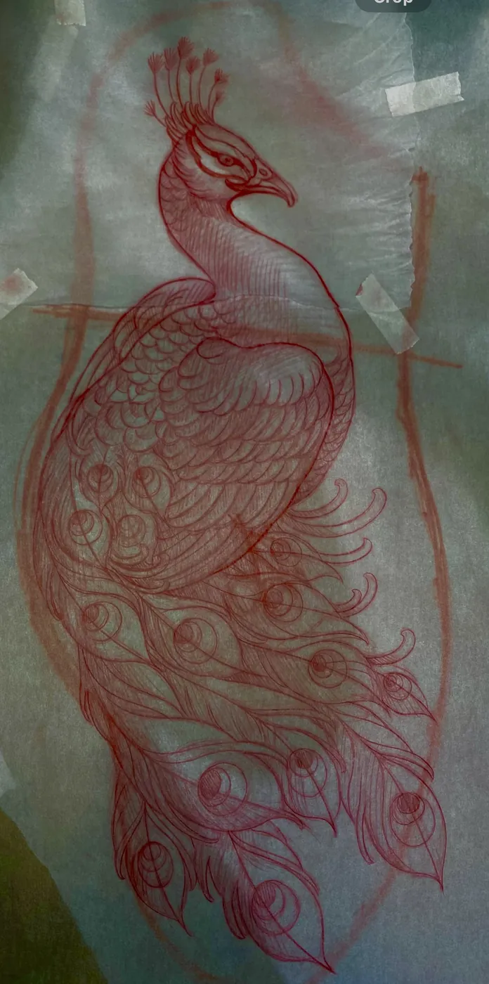 Custom tattoo sketch — Peacock red pencil study — original drawing by Terry Ribera, Remington Tattoo San Diego