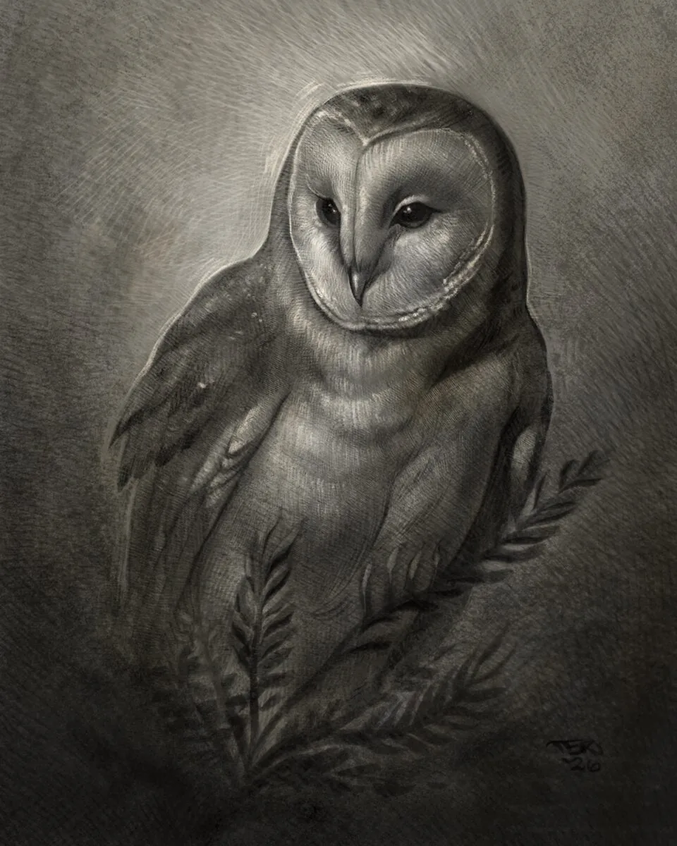 Fine art barn owl portrait with fern graphite drawing by Terry Ribera, San Diego
