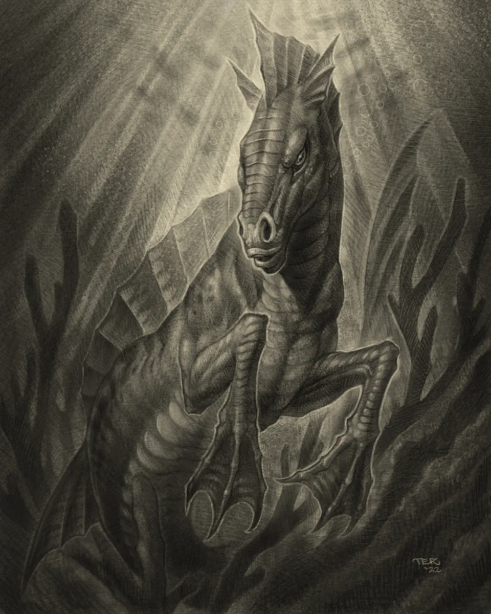 Fine art sea creature seahorse charcoal drawing by Terry Ribera, San Diego