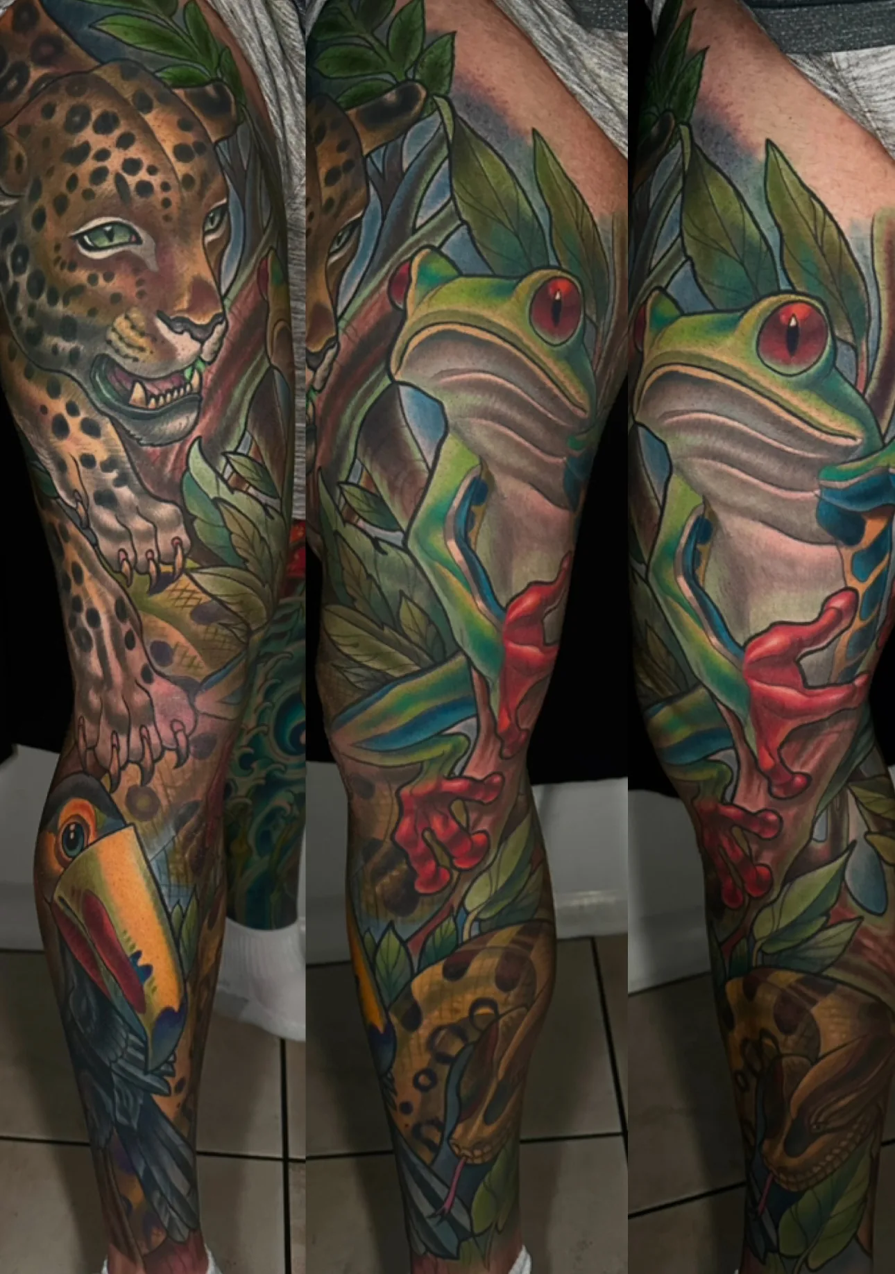 Color rainforest leg sleeve tattoo with tree frog and toucan by Terry Ribera, San Diego